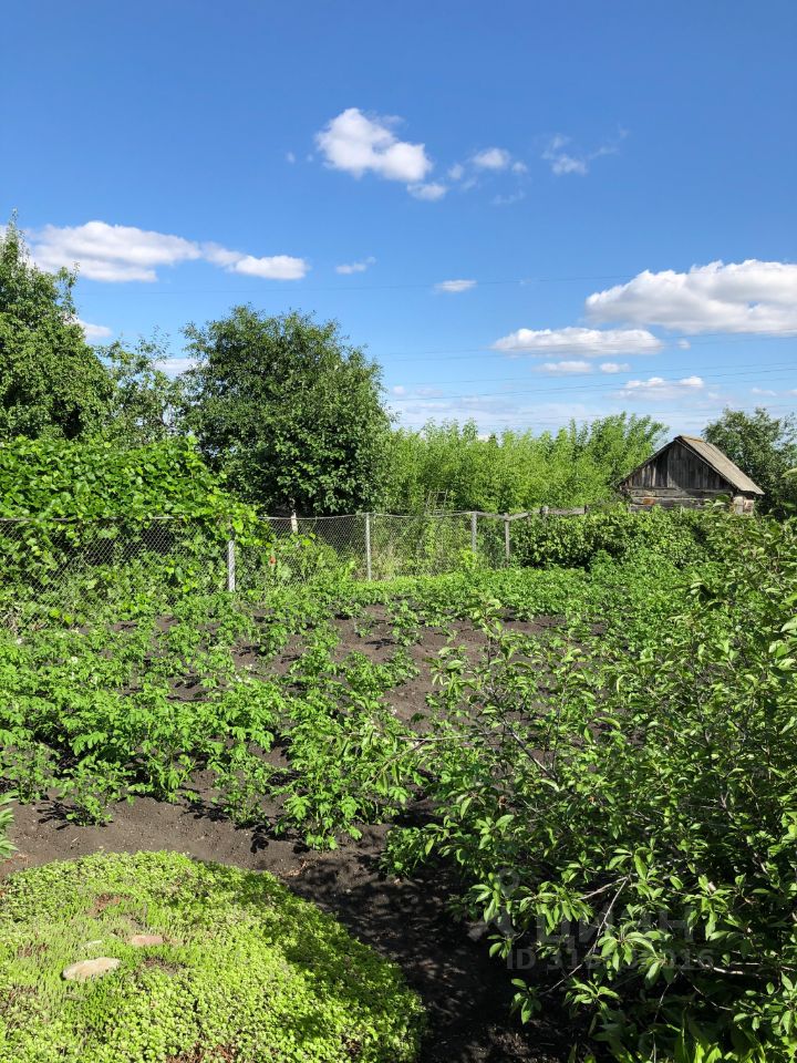 Квартира 2-комн. 43.2 м² в Госсортучасток — миниатюра 14