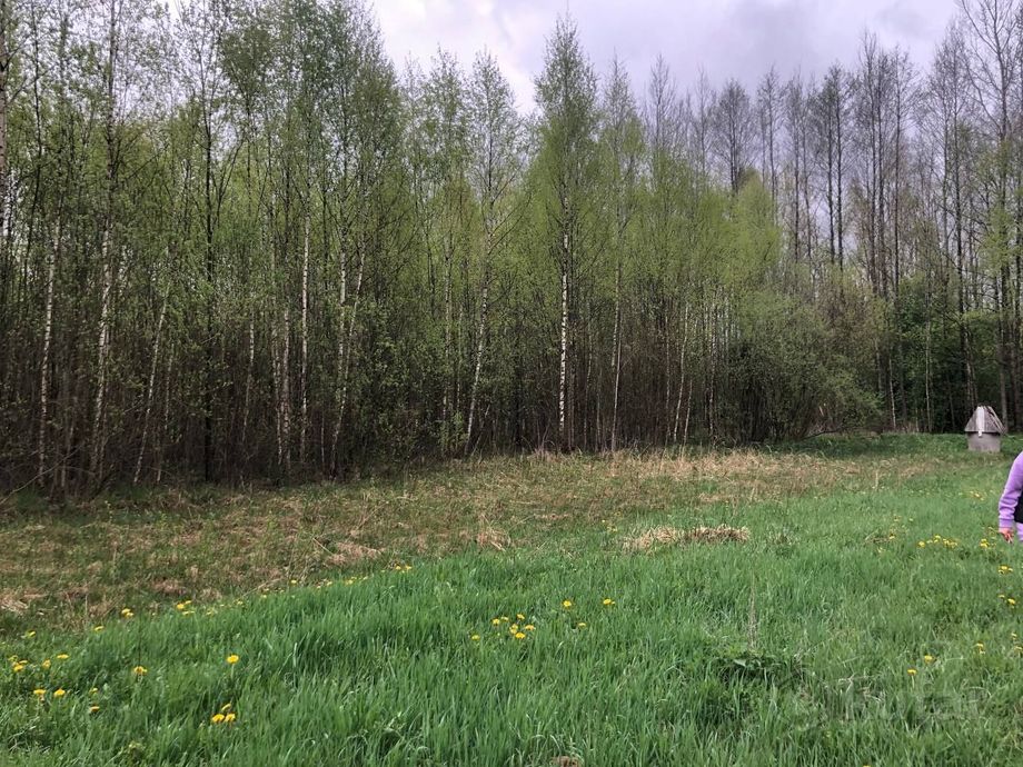 Дом 2-комн. 30 м² в Сморгонский — миниатюра 5