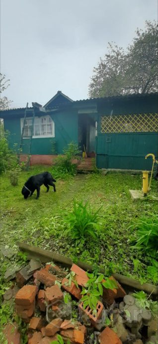 Дом 2-комн. 627 м² в Ветковский — миниатюра 2