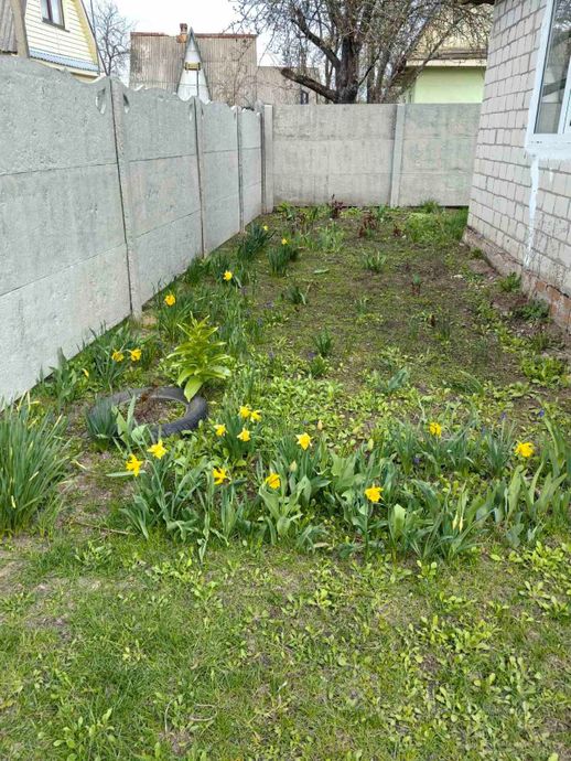 Дом 31.5 м² в Гомельский — миниатюра 11