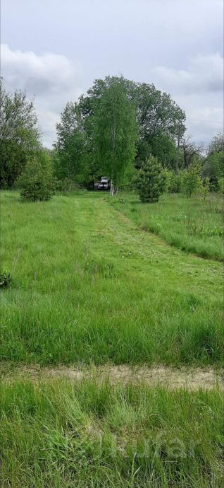 Дом 2-комн. 627 м² в Ветковский — миниатюра 4