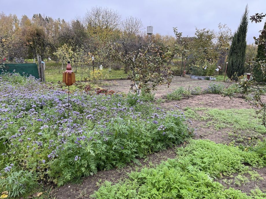 Дом 2-комн. 36.5 м² в Несвижский — миниатюра 5