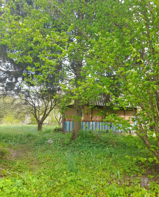 Дом 1-комн. 30 м² в Витебский — миниатюра 4