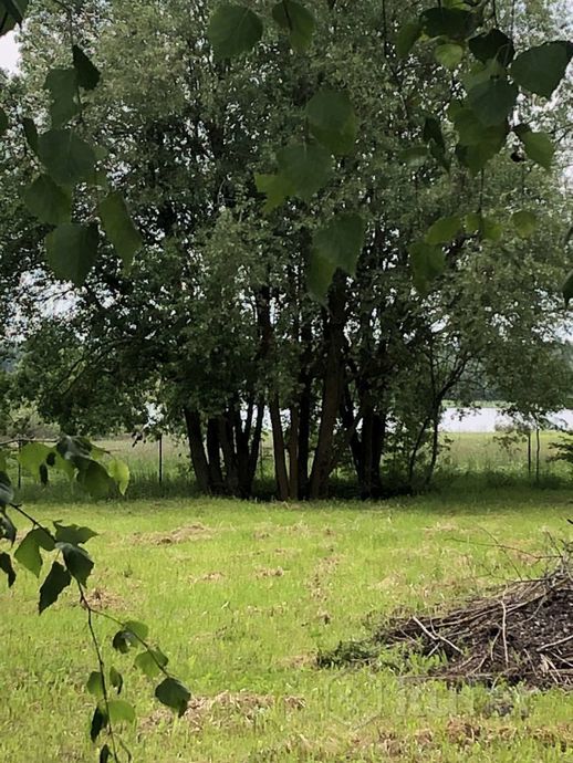 Дом 1-комн. 37.8 м² в Сёмино — миниатюра 3