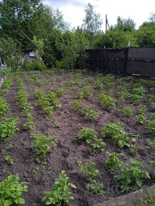 Дом 3-комн. 35 м² в Гомельский — миниатюра 6