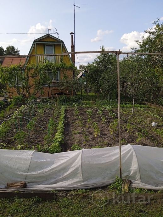 Дом 3-комн. 35 м² в Гомельский — миниатюра 2