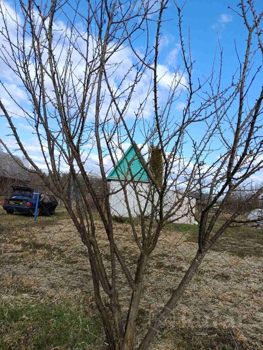 Дом 1 м² в Полоцкий — миниатюра 1