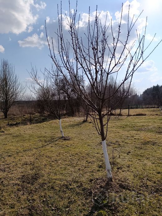 Дом 2-комн. 41 м² в Хоменцы — миниатюра 5