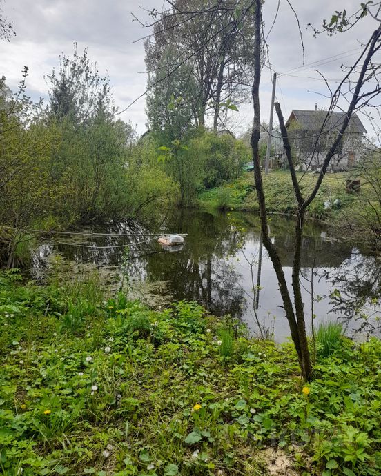 Дом 1-комн. 30 м² в Витебский — миниатюра 5