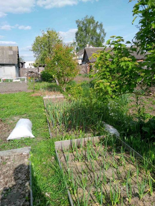 Дом 3-комн. 60 м² в Рогачёв — миниатюра 4