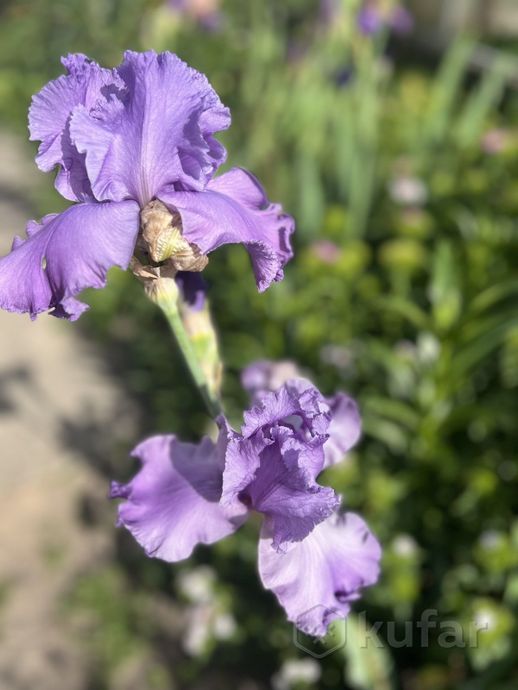 Дом 3-комн. 57.5 м² в Гомельский — миниатюра 23