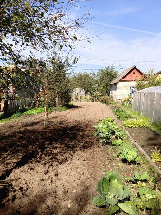 Дом 1-комн. 19.5 м² в Орша — миниатюра 4