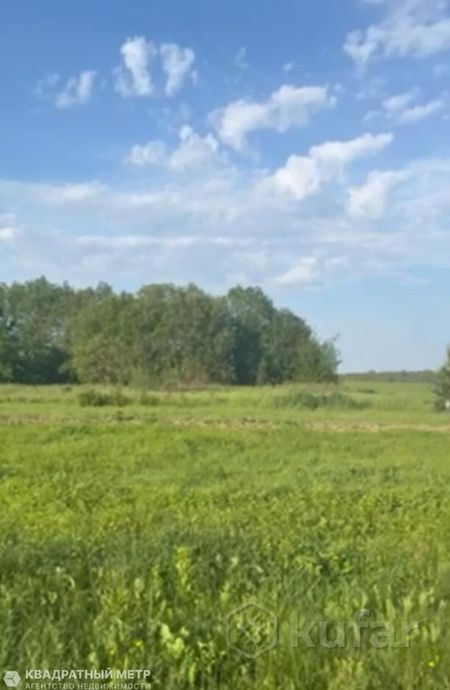 Дом 45.4 м² в Козлы — миниатюра 9