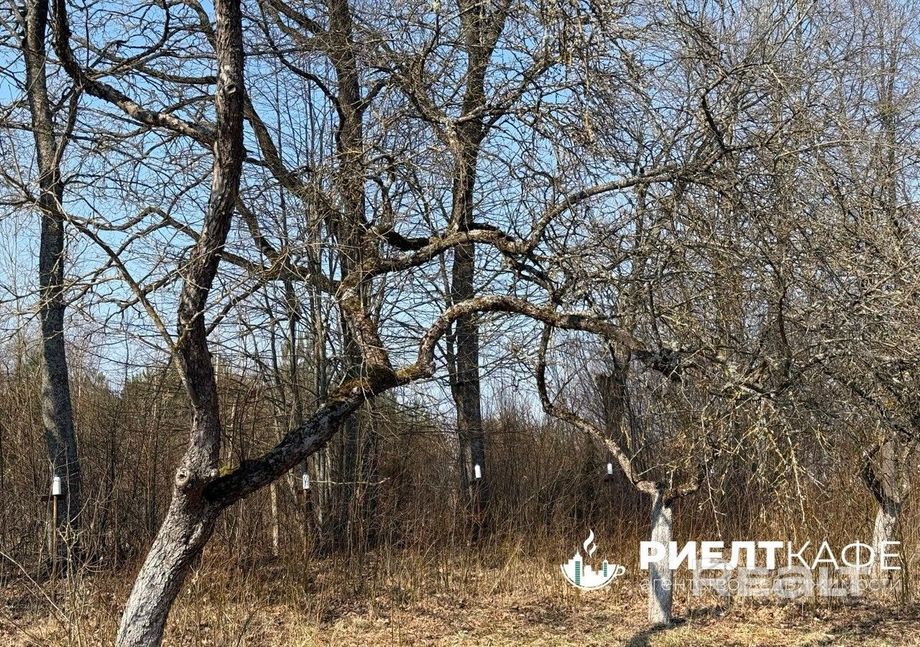 Дом 35.9 м² в Красновцы — миниатюра 6