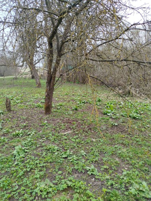 Дом 67 м² в Баратино — миниатюра 6