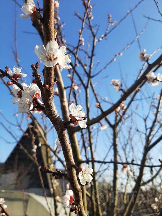 Дом 2-комн. в Пуховичский — миниатюра 6