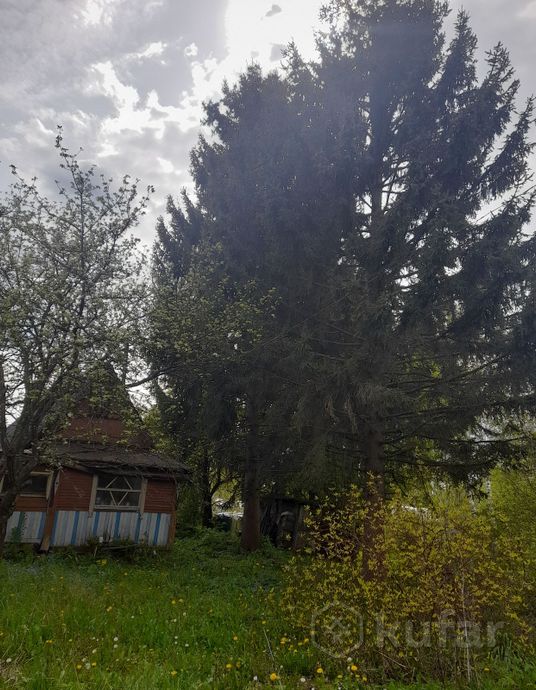 Дом 1-комн. 30 м² в Витебский — миниатюра 1