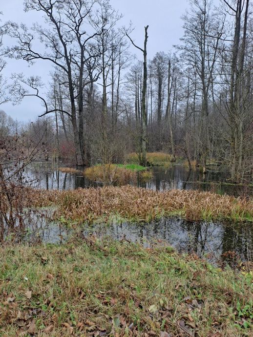 Дом 2-комн. 25 м² в Ошмянцы — миниатюра 7