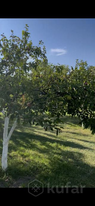 Дом 2-комн. 36.5 м² в Несвижский — миниатюра 8