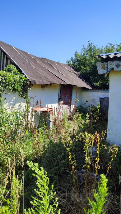 Дом 2-комн. 68 м² в Новая Белица — миниатюра 5