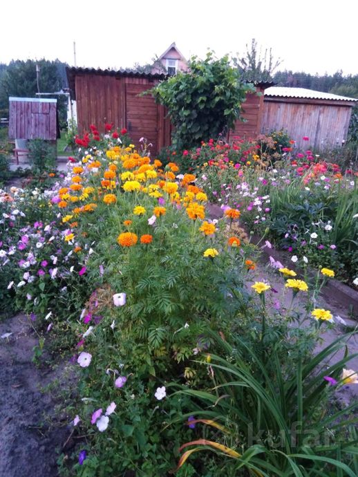 Дом 2-комн. 30 м² в Буда-Кошелёвский — миниатюра 4