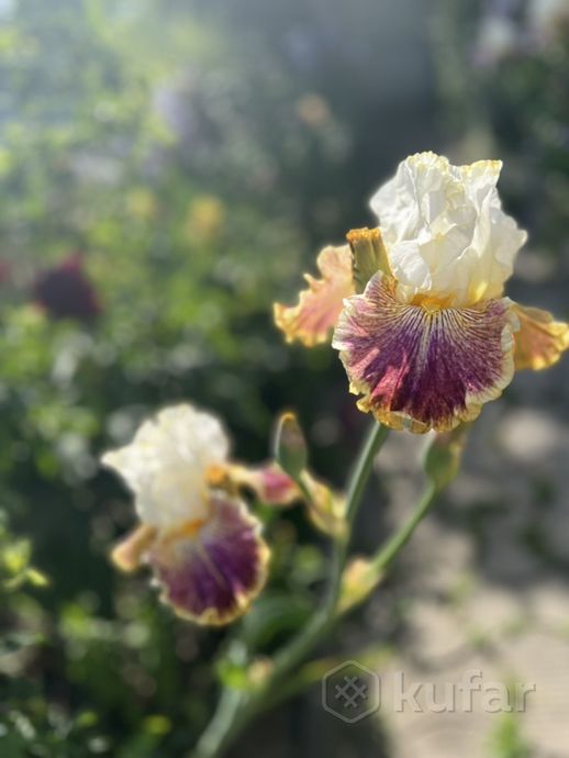 Дом 3-комн. 57.5 м² в Гомельский — миниатюра 22