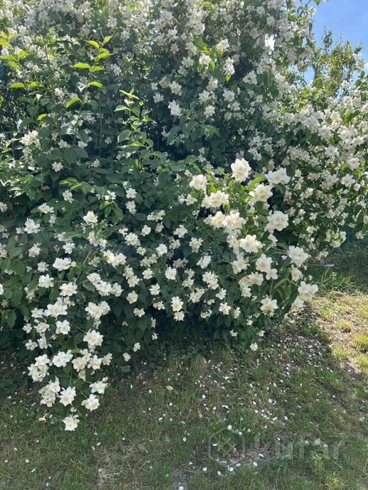 Дом 3-комн. 57.5 м² в Гомельский — миниатюра 18