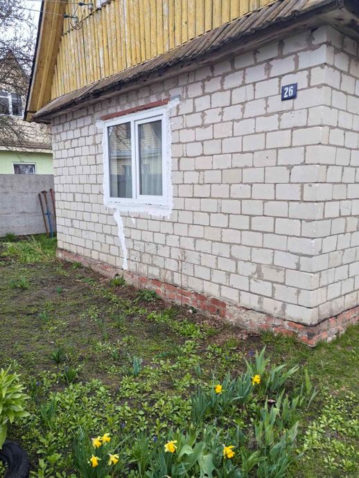 Дом 31.5 м² в Гомельский — миниатюра 4