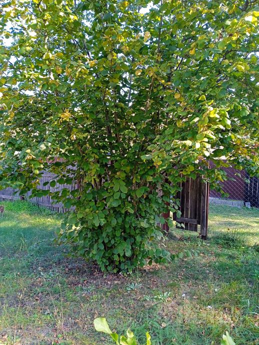 Дом 2-комн. 34 м² в Мозырский — миниатюра 11