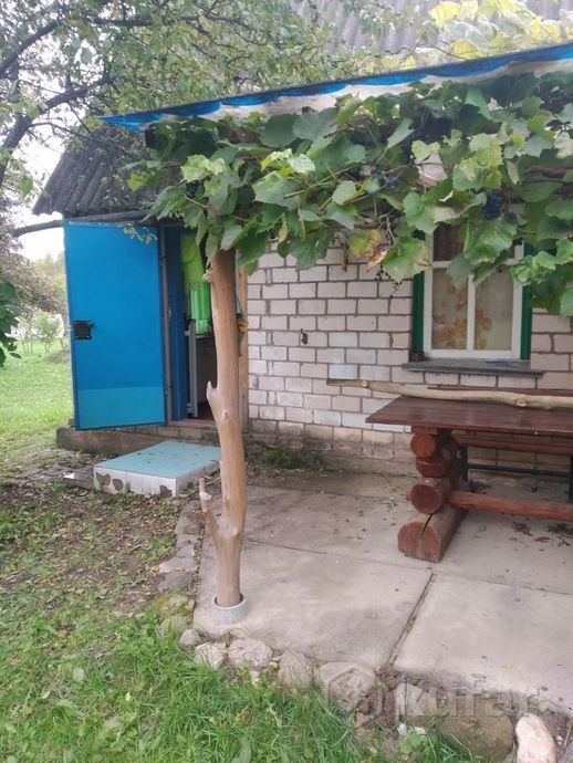 Дом 1-комн. 23.5 м² в Оршанский — миниатюра 6