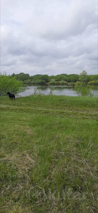 Дом 2-комн. 627 м² в Ветковский — миниатюра 5