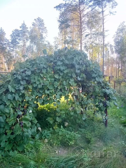 Дом 2-комн. 34 м² в Мозырский — миниатюра 15