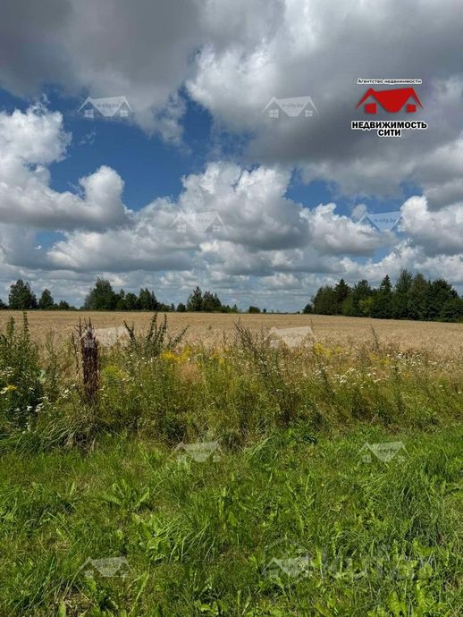 Дом 1-комн. 87.3 м² в Булыжицы — миниатюра 6