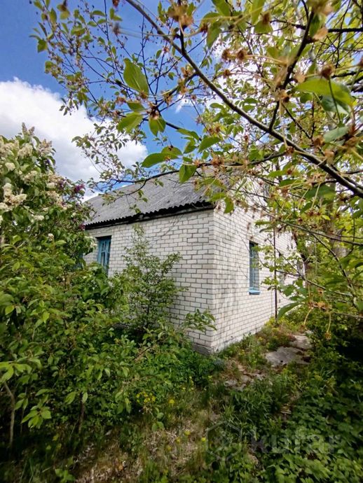 Квартира 54.6 м²