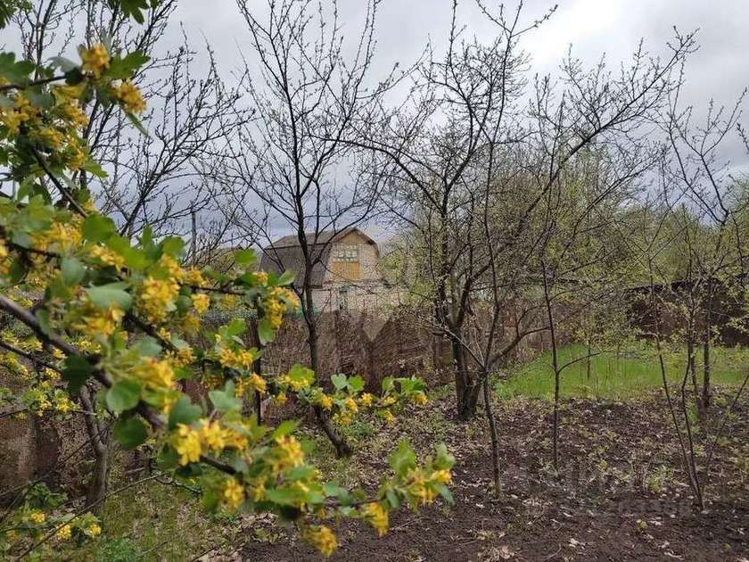 Дом 35 м² за 80 000 ₽ в Родничок садовое товарищество — фото 1