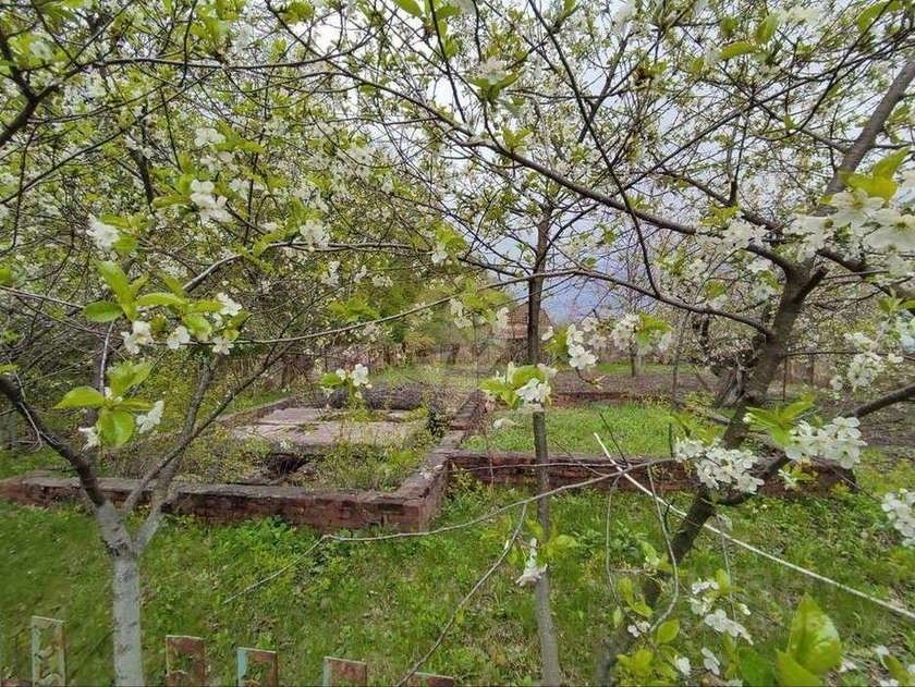 Дом 35 м² за 80 000 ₽ в Родничок садовое товарищество — фото 2