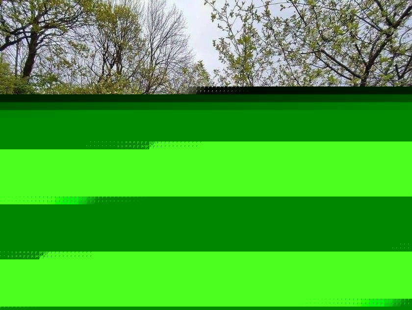 Дом 35 м² за 80 000 ₽ в Родничок садовое товарищество — фото 3