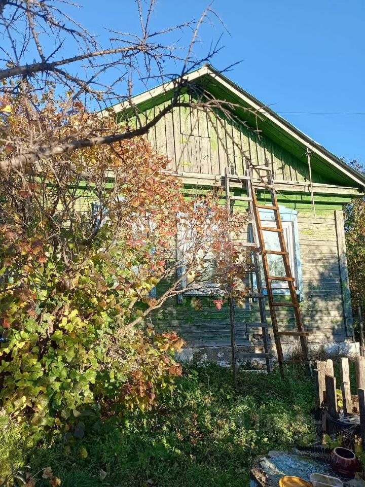 Комната 3-комн. 37.4 м² за 1 000 000 ₽ в с. Раздольное — фото 3