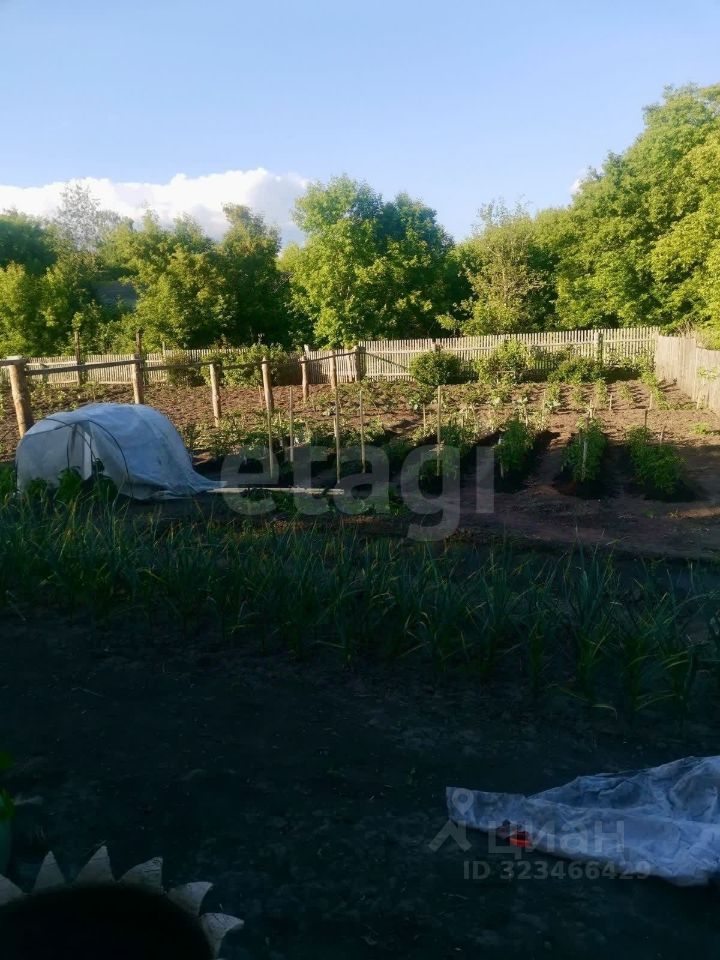 Комната 2-комн. 41.2 м² за 550 000 ₽ в с. Налобиха — фото 3