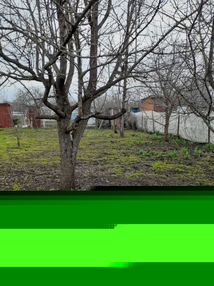 Дом 20 м² за 70 000 ₽ в с. Выселки — фото 2