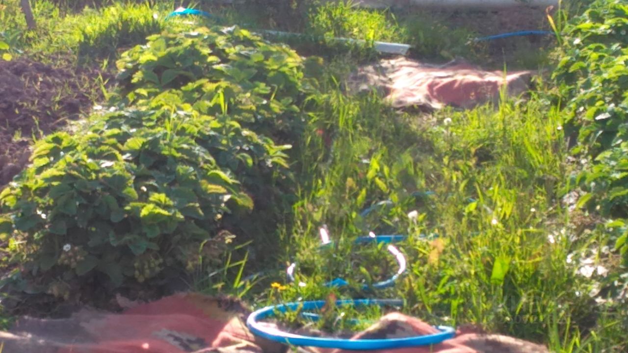 Дом 30 м² за 170 000 ₽ в Наволокское городское поселение — фото 2