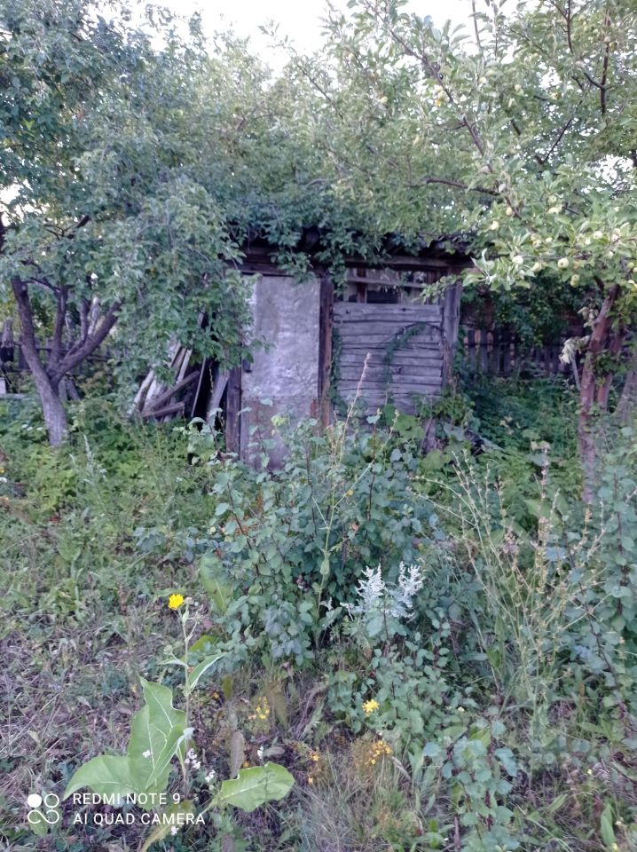 Дом 15 м² за 50 000 ₽ в Подлесненский сельсовет — фото 3