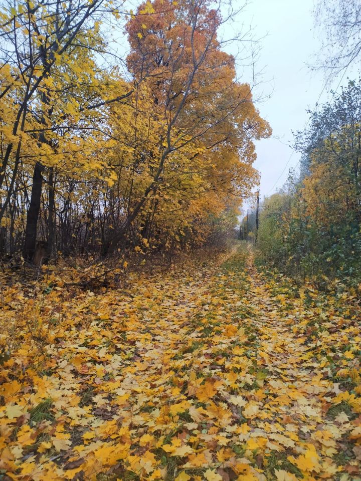 Дом 35 м² за 150 000 ₽ в д. Успенка — фото 3