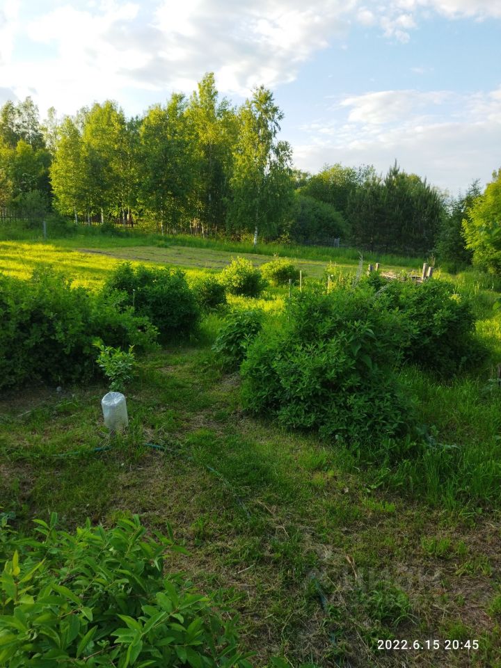 Комната 2-комн. 43 м² за 250 000 ₽ в с. Паздниково — фото 3