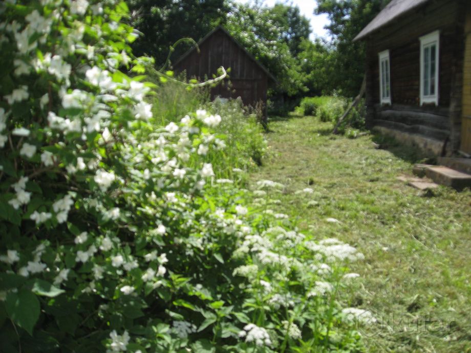 Дом 3-комн. 100 м² за 366 609 ₽ в Ясево — фото 3