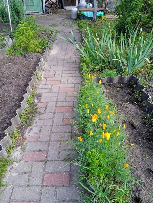 Дом 3-комн. 35 м² в Гомельский — фото 4