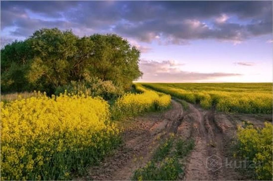 Дом 2-комн. 50 м² за 111 771 ₽ в Веремейки — фото 1