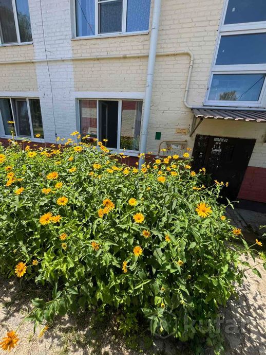 Квартира 2-комн. 49.6 м² за 894 169 ₽ в Хотимск — фото 2