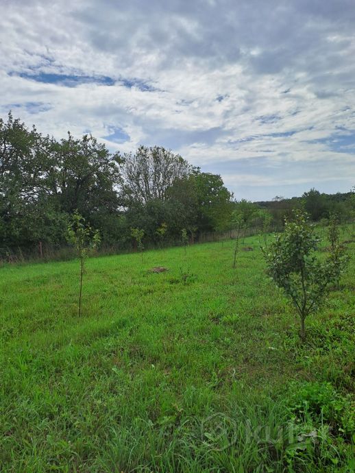 Дом 2-комн. 25 м² в Ошмянцы — фото 5