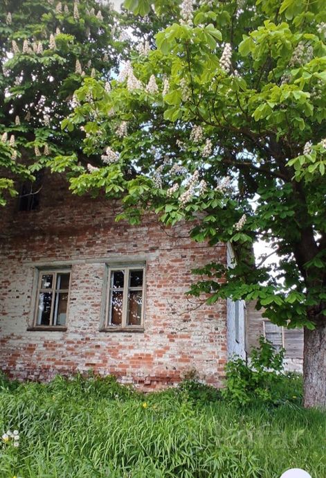 Дом 2-комн. 36.9 м² за 198 225 ₽ в Городок — фото 3